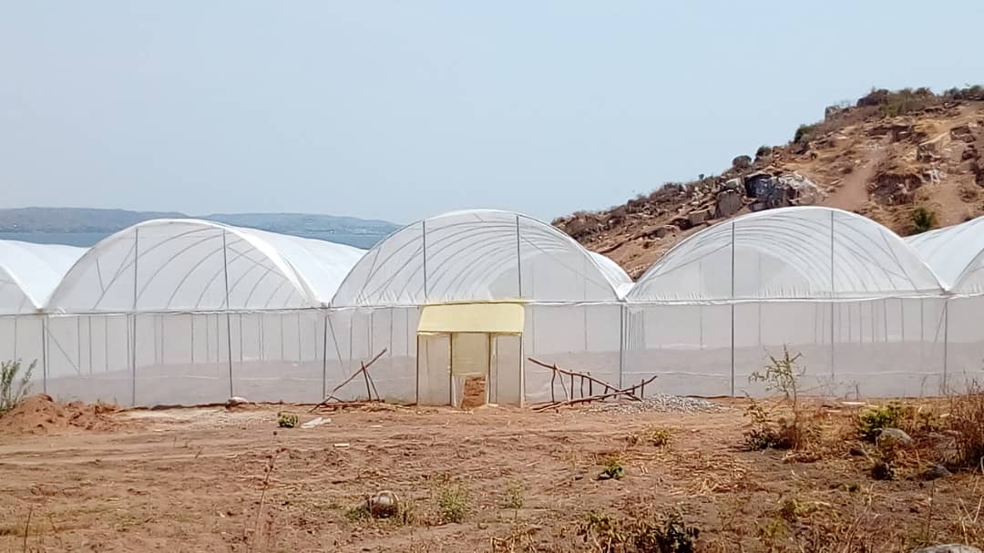 Farmdrop Technologies